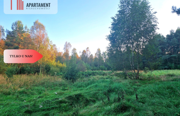 Tylko u nas! Działka rolna z pięknym zadrzewieniem