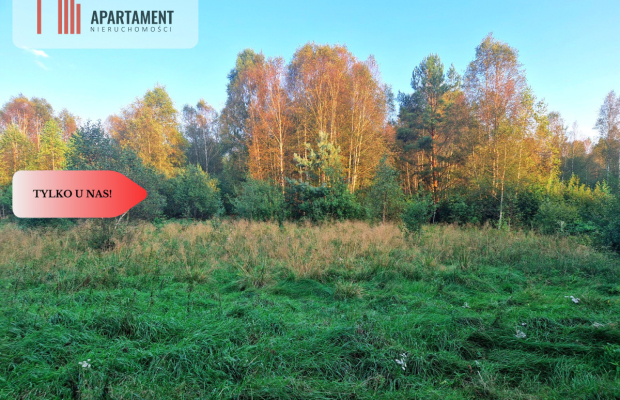Tylko u nas! Działka rolna z pięknym zadrzewieniem