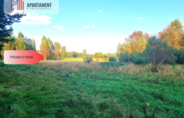 Tylko u nas! Działka rolna z pięknym zadrzewieniem