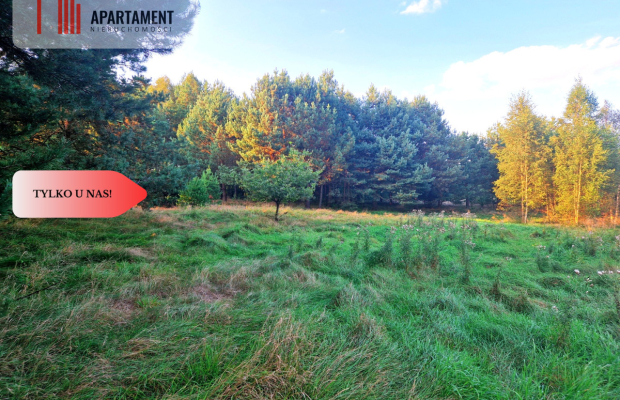 Tylko u nas! Działka rolna z pięknym zadrzewieniem