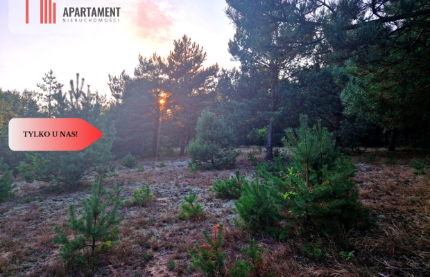 Tylko u nas! Działka rolna z pięknym zadrzewieniem