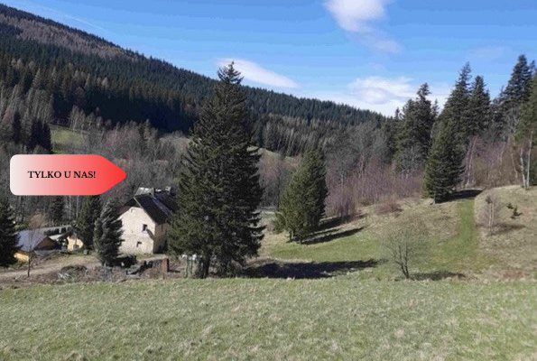 Tylko u nas! Góry/Piękny widok działki 2000mkw