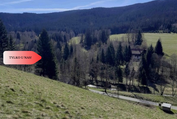 Tylko u nas! Góry/Piękny widok działki 2000mkw