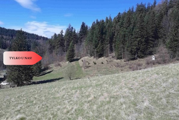 Tylko u nas! Góry/Piękny widok działki 2000mkw