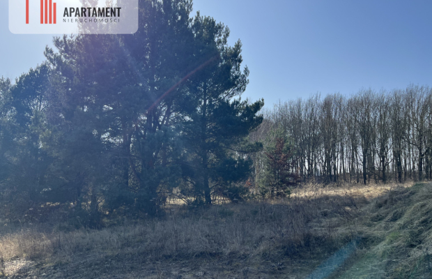 Urokliwa,na uboczu działka Dobino, media,warunki.