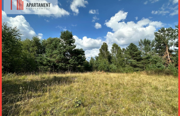 Jeleńcz–działka budowlana  13 375 m2