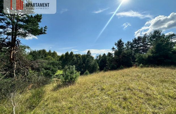 Jeleńcz–działka budowlana  13 375 m2