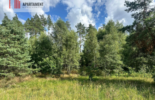 Jeleńcz–działka budowlana  13 375 m2