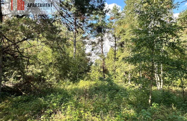 Jeleńcz–działka budowlana  13 375 m2