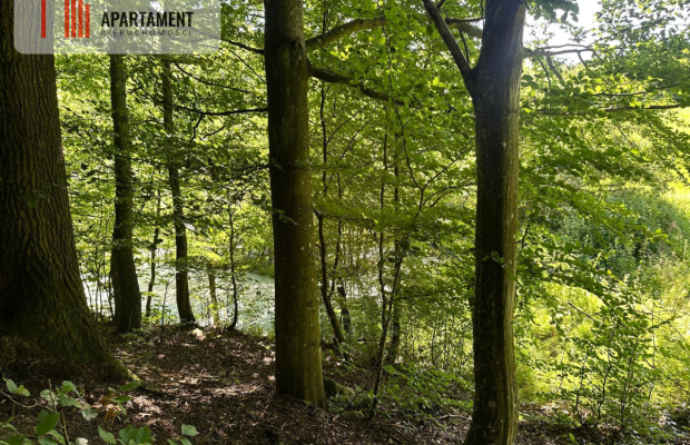 Jeleńcz–działka budowlana  13 375 m2