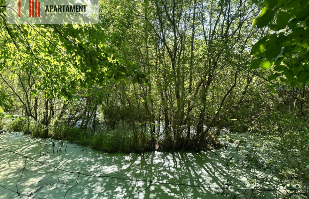 Jeleńcz–działka budowlana  13 375 m2