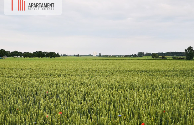 Działka w Brukach Unisławskich