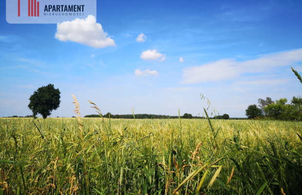 Działka w Brukach Unisławskich