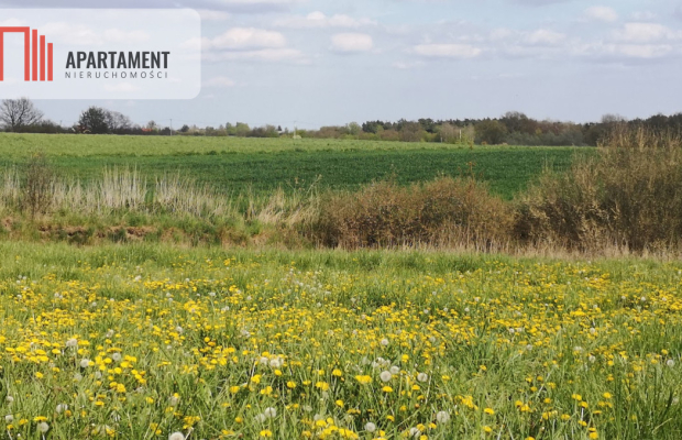 Działka w Brukach Unisławskich