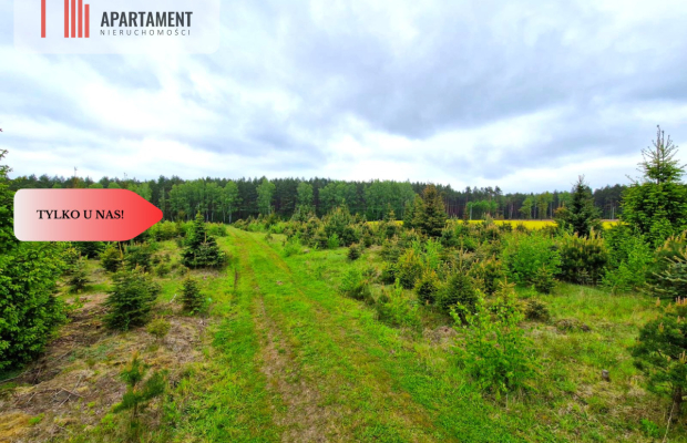 Działki w Bietowie. Promocja