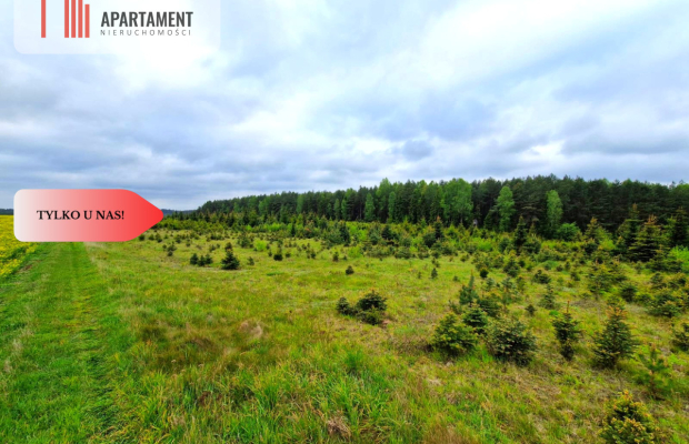 Działki w Bietowie. Promocja