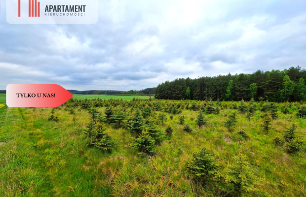 Działki w Bietowie. Promocja