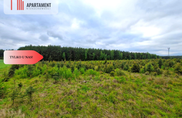 Działki w Bietowie. Promocja