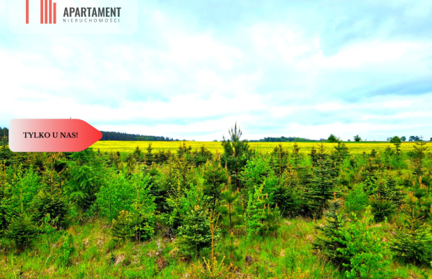 Działki w Bietowie. Promocja