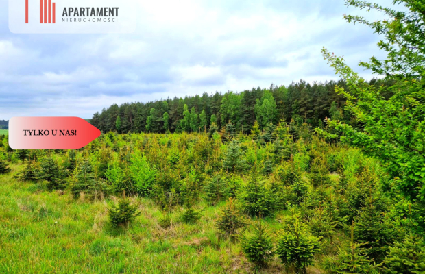 Działki w Bietowie. Promocja