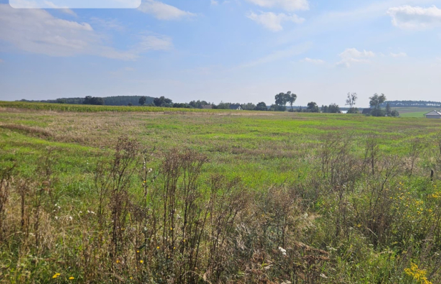 Działka budowlana 885 m² , Smogorzewo