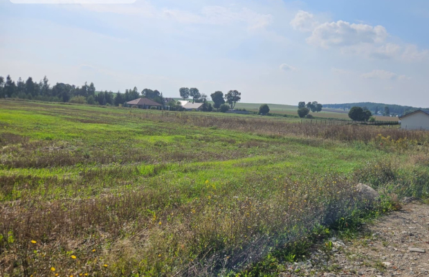 Działka budowlana 885 m² , Smogorzewo