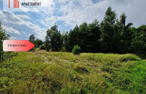 Działka Górne Morgi