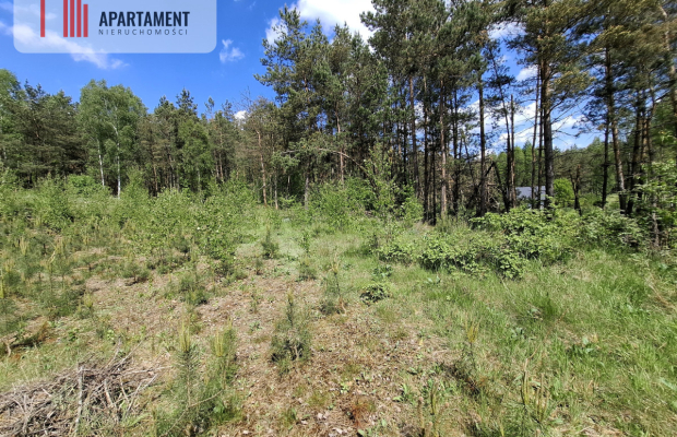 Piękna działka na Kaszubach z warunkami zabudowy