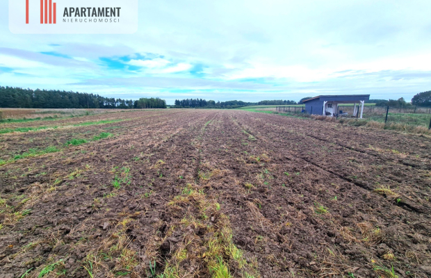 Działki siedliskowo/hodowlane 75m od jeziora!