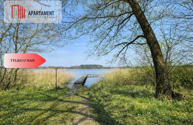 Działka z linią brzegową i własnym lasem!