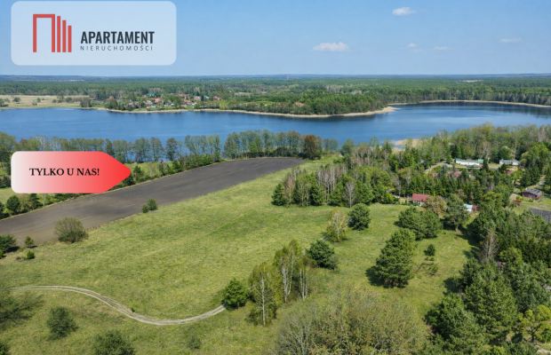 Działka z linią brzegową i własnym lasem!