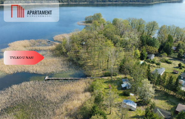 Działka z linią brzegową i własnym lasem!