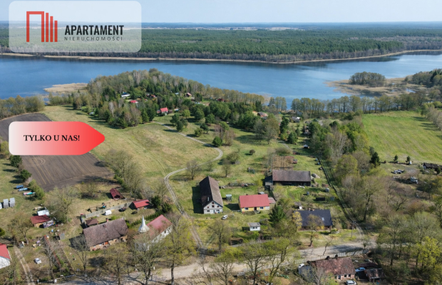 Działka z linią brzegową i własnym lasem!