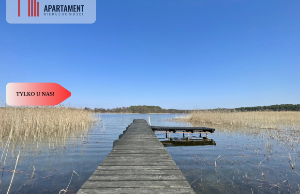 Działka z linią brzegową i własnym lasem!