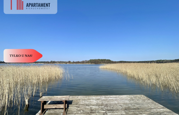 Działka z linią brzegową i własnym lasem!
