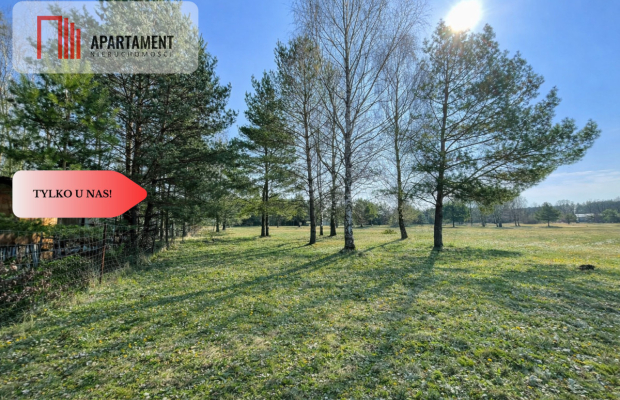 Działka z linią brzegową i własnym lasem!