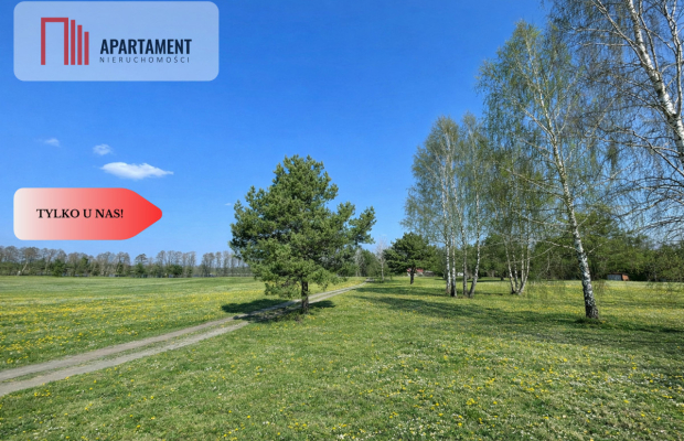 Działka z linią brzegową i własnym lasem!