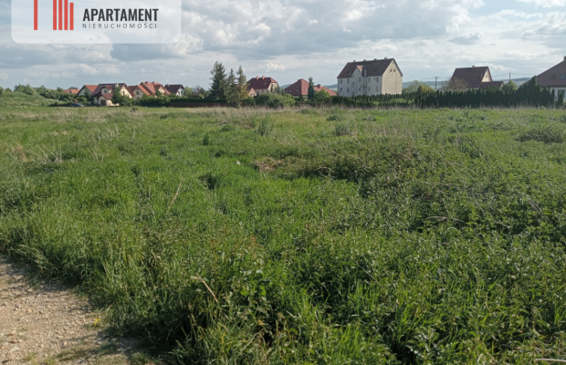 Działka inwestycyjna 2,5 ha