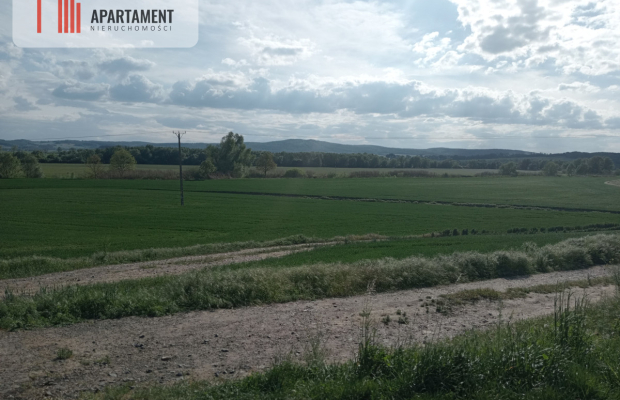 Działka inwestycyjna 2,5 ha