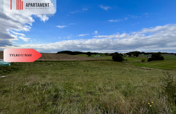 Działka 3000 m2 w sercu Kaszub!