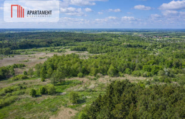 Działka z linią brzegową Drwęcy Natura 2000