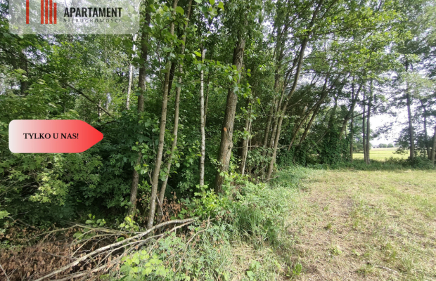Działka wśród zieleni na granicy Borów Tucholskich