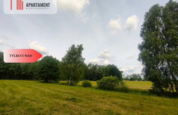 Działka wśród zieleni na granicy Borów Tucholskich