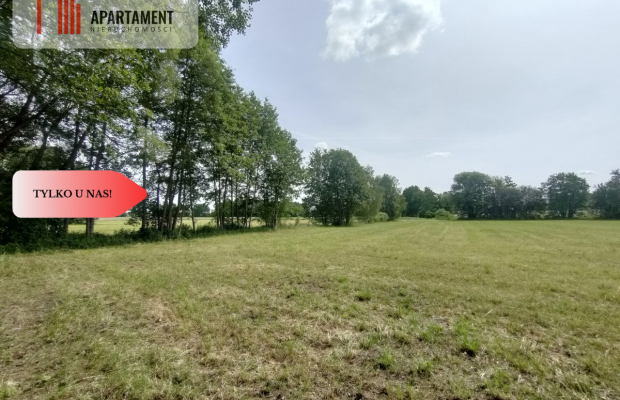 Działka wśród zieleni na granicy Borów Tucholskich