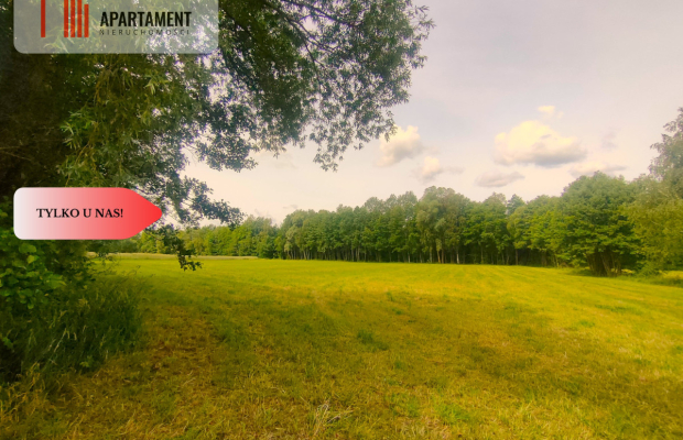 Działka wśród zieleni na granicy Borów Tucholskich