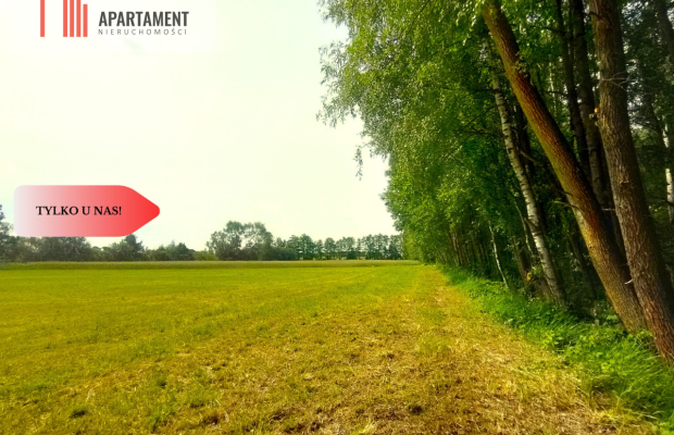 Działka wśród zieleni na granicy Borów Tucholskich