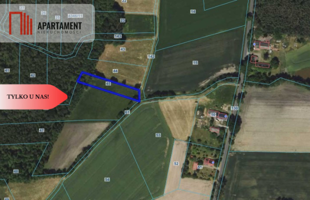 Działka wśród zieleni na granicy Borów Tucholskich