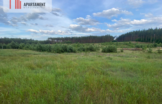 Urokliwa Działka na sprzedaż- Twoje Miejsce na Dom