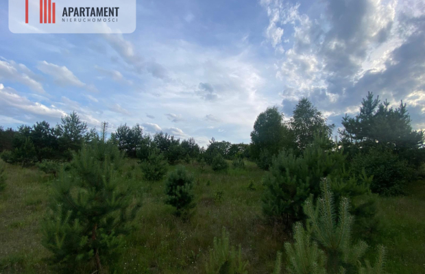 Urokliwa Działka na sprzedaż- Twoje Miejsce na Dom