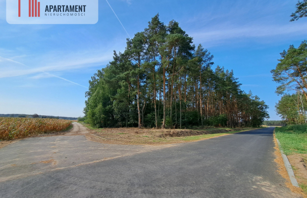 Toporzysko, ul. Kolejowa, pod laskiem